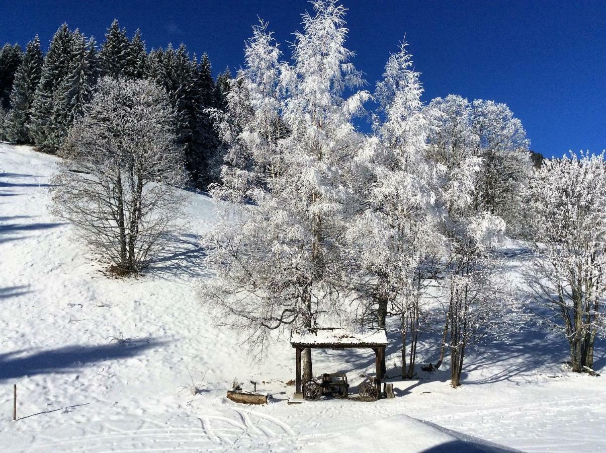 Le Refuge Villa Cordon Buitenkant foto